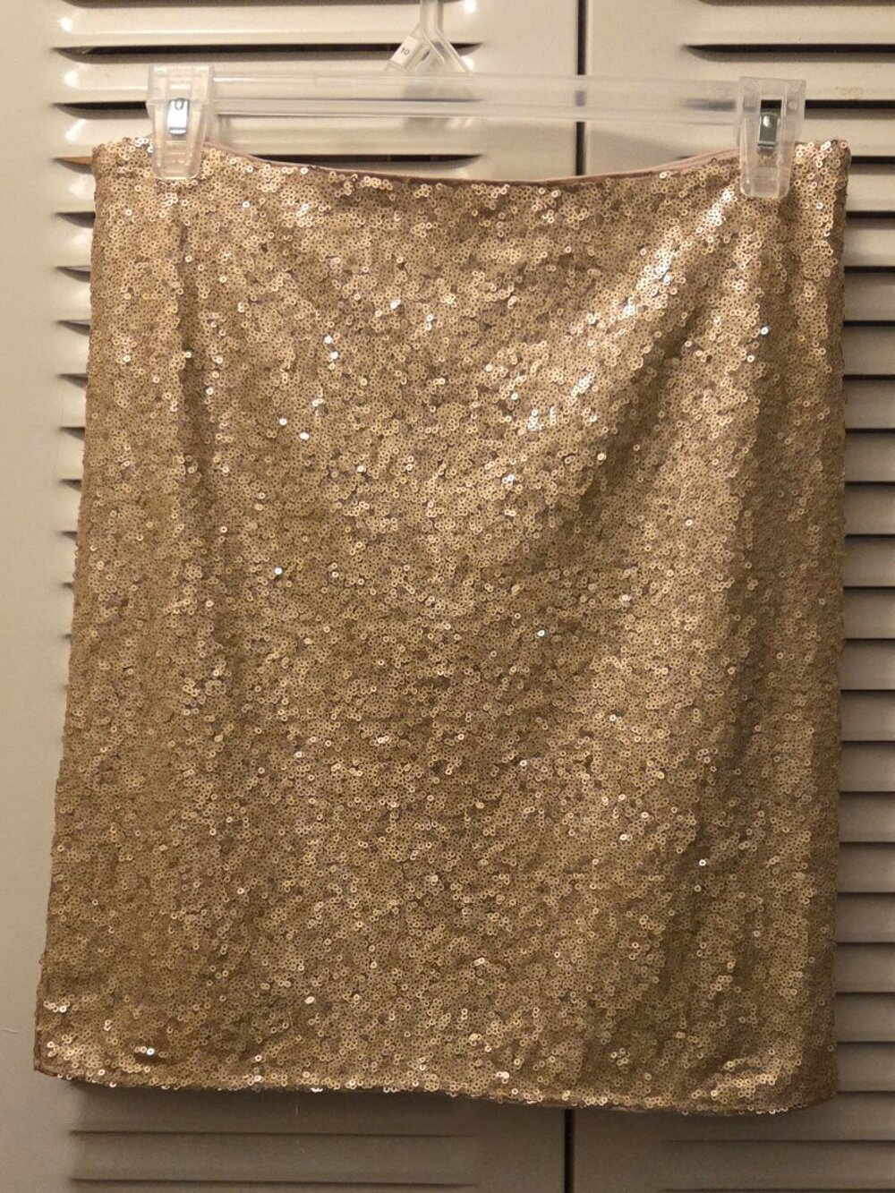 Sequin Skirt